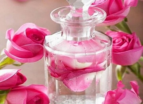 تصویر 4 از گلاب قمصر با طعم ملایم‌ و شیرین